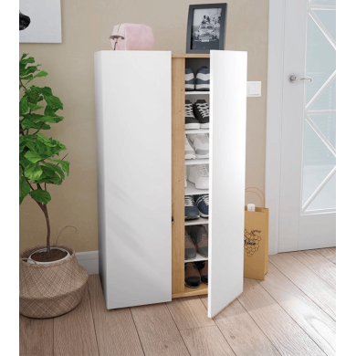 Zapatero Ébano 2 puertas 6 baldas - Organización y estilo para tu hogar