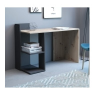 Mesa escritorio industrial con estantería TOKIO II