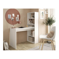 Mesa escritorio con estantería VITO