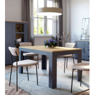 Mesa comedor extensible ODIN