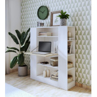 Estantería convertible mesa estudio DARCY