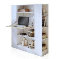 Estantería convertible mesa estudio DARCY