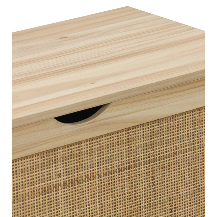 Baúl de almacenaje de ratán CAMILE