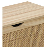 Baúl de almacenaje de ratán CAMILE