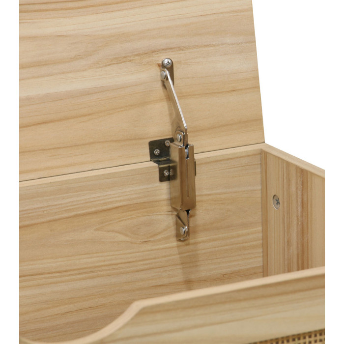 Baúl de almacenaje de ratán CAMILE