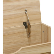 Baúl de almacenaje de ratán CAMILE