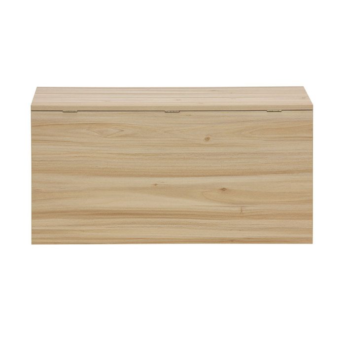 Baúl de almacenaje de ratán CAMILE